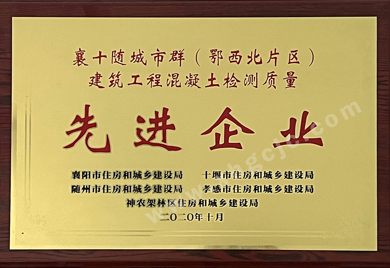 2020先进企业