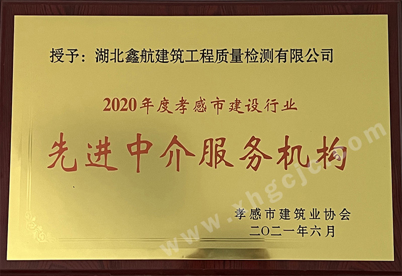 2020先进中介服务机构